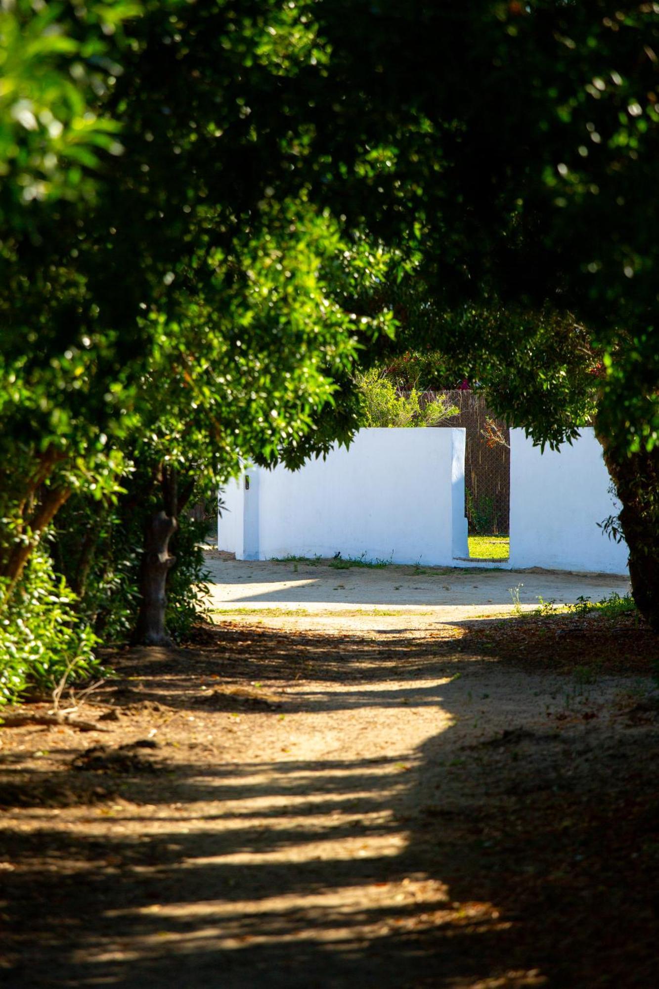 סהורה Casara Tres - 2 Dormitorios - Jardin Y Acceso Privado A La Playa מראה חיצוני תמונה