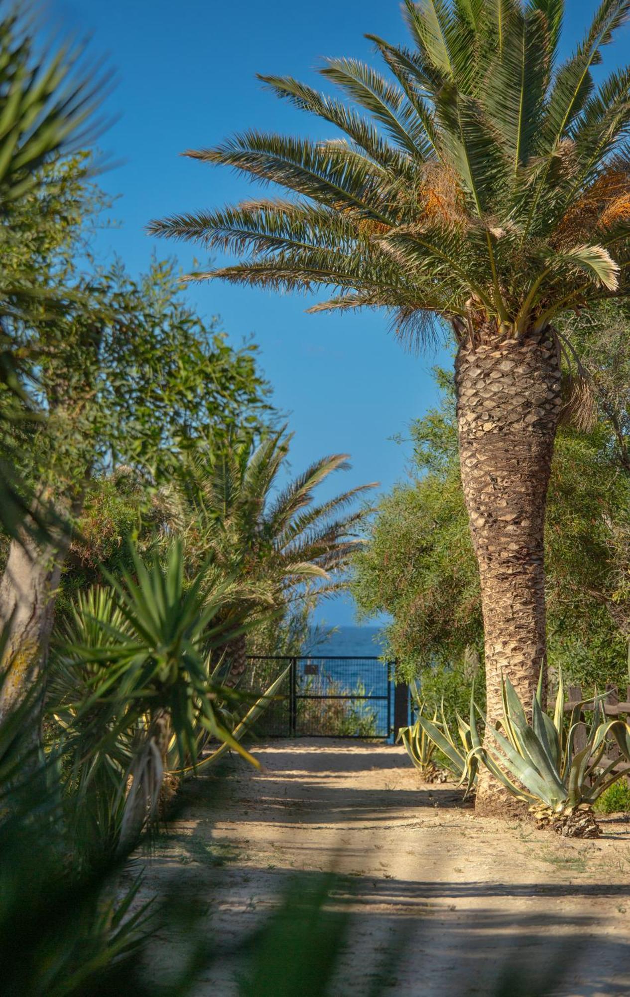 סהורה Casara Tres - 2 Dormitorios - Jardin Y Acceso Privado A La Playa מראה חיצוני תמונה